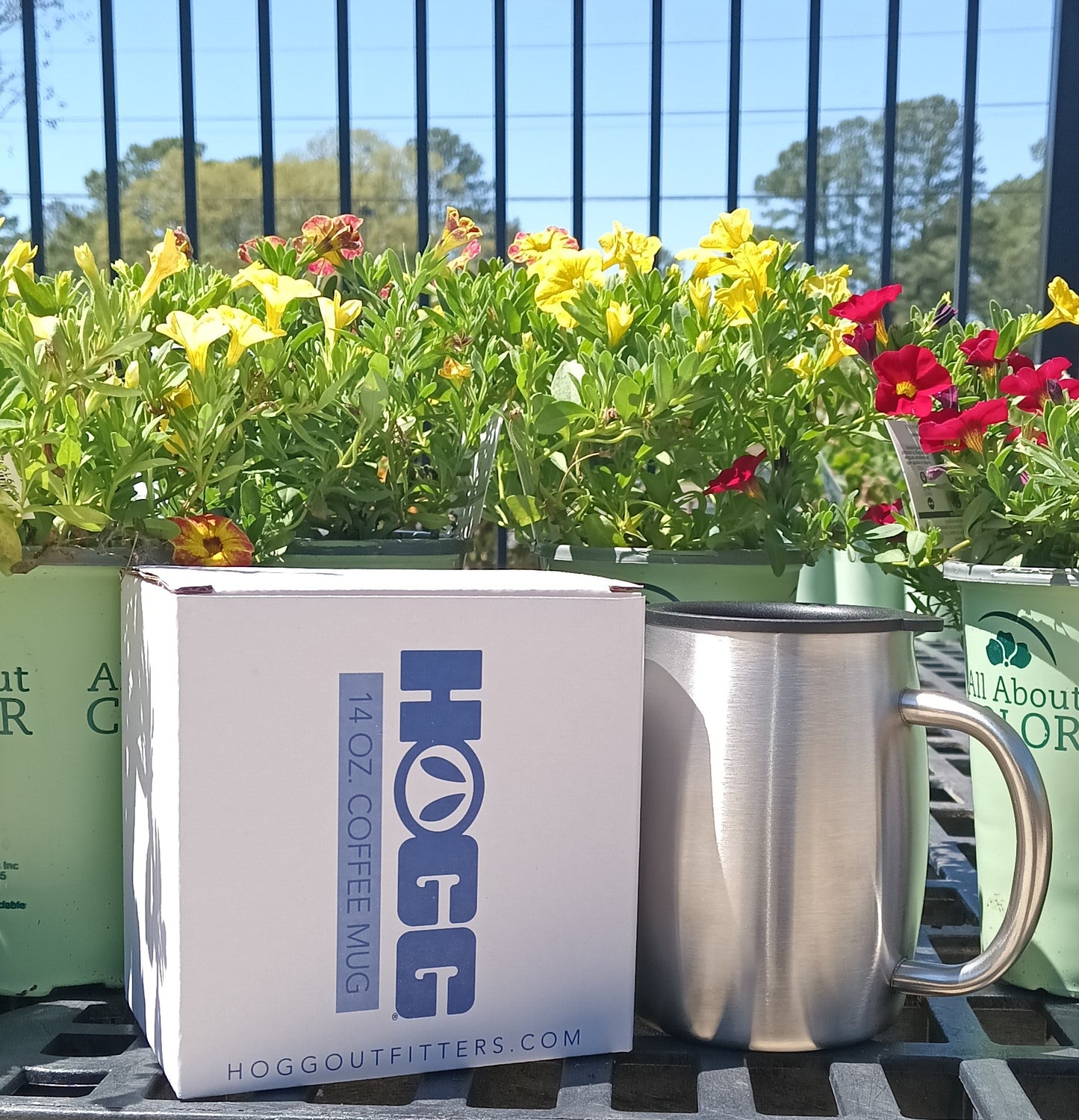 Customizable HOGG Tumblers